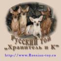 Русский Той-Терьер